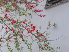 -乌山风景区