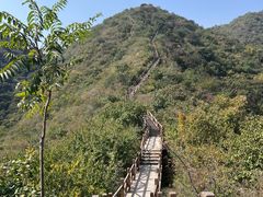 -大岭沟猕猴桃谷风景区