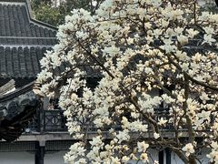 -何园