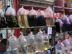 -华声天桥民俗文化园