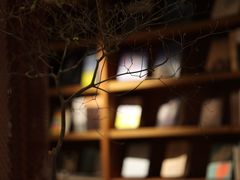 -二酉书店TOYOU BOOKS