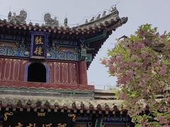 -洛阳白马寺