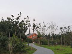 -马家湾湿地公园