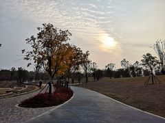 -盘龙城国家考古遗址公园