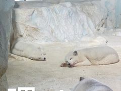 -珠海长隆海洋王国