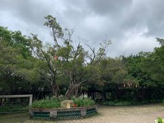 -粤晖园