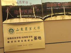 -全心全意连锁动物医院(加州店)
