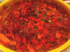 -陈麻婆豆腐总店