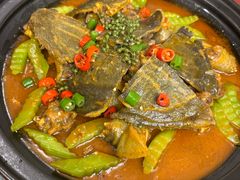 黄焖生态水鱼-顺德佬(石厦店)