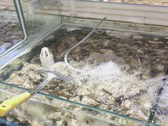 -四海蒸鲜蒸汽海鲜自助(北戴河店)