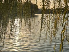 -济南国际园博园