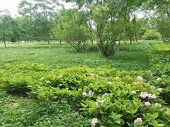 -汉长安城未央宫国家考古遗址公园