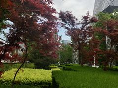 -中央广播电视总台(光华路办公区)