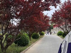 -清东陵