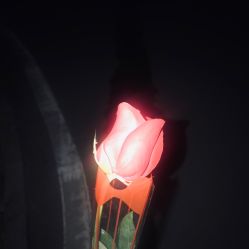 -HairCode芭曲发型