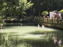 -兰亭风景区