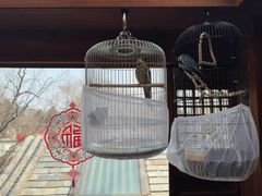 -小吊梨汤·北京菜(香山店)