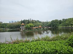 -深圳龙潭公园