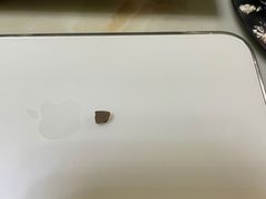-小苍兰风铃草·礼物蛋糕(沈阳店)