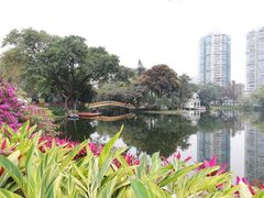 -晓港公园