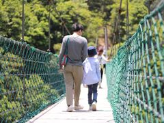 -遂昌金矿国家矿山公园