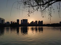 -天鹅湖体育公园