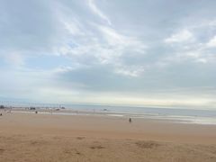 -日照海滨国家森林公园