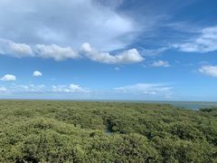 -北海金海湾红树林生态旅游区