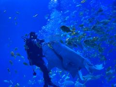 -太平洋海底世界