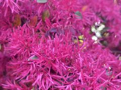 -杭州城北体育公园