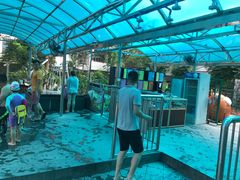 -猎德游泳池(猎德花园店)