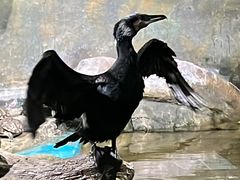 -重庆欢乐海底世界