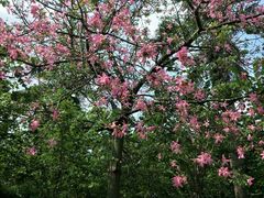 -广东外语外贸大学(白云山校区)