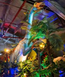 -恐龙探索乐园(磁器口店)