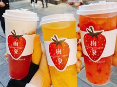 -树夏(锦里店)