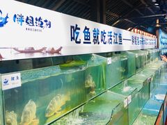 水产区-胖姐渔村(中源大道店)