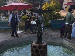 -河口湖八音盒之森美术馆