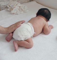 -海豚湾高端月子会所(黄浦店)