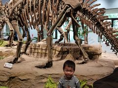 -自贡恐龙博物馆