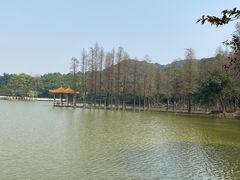 -西樵山风景名胜区-天湖公园