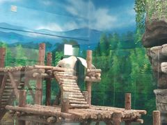 -大青山野生动物园