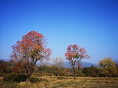 -塔川景区