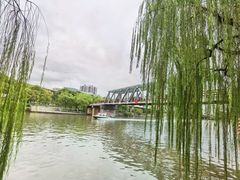 -运河游船(武林门码头)