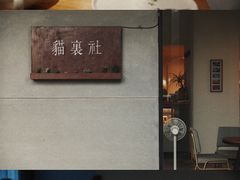 -猫里有甜