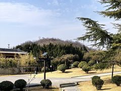 -洛阳古墓博物馆