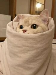 -姜美堂·蒸姜除湿の纤体美颜馆