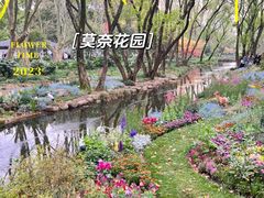 -上海共青森林公园