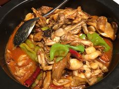 黑松茸牛肝菌焖牛蛙-云海肴·汽锅鸡·云南菜(天山百盛优客店)