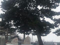 -妙峰山风景名胜区