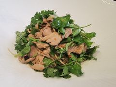 生呛腰片-九福楼大酒店